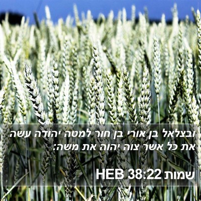 שמות 38:22 HEB Bible Verse Image