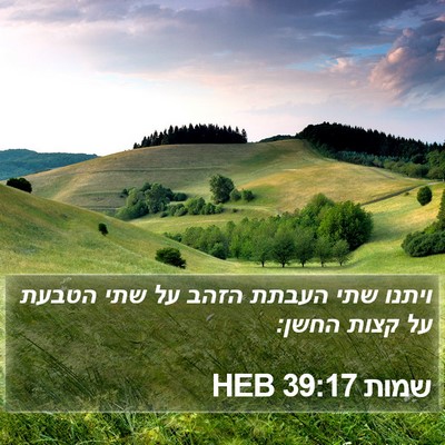 שמות 39:17 HEB Bible Verse Image