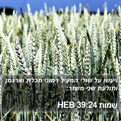 שמות 39:24 HEB Bible Verse Image