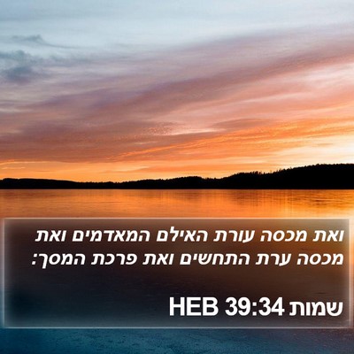 שמות 39:34 HEB Bible Verse Image