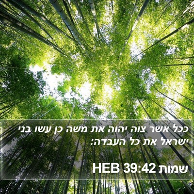 שמות 39:42 HEB Bible Verse Image