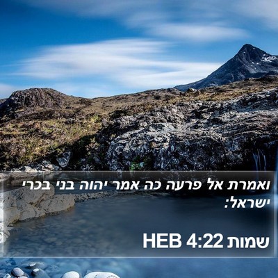 שמות 4:22 HEB Bible Verse Image