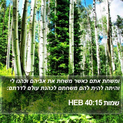 שמות 40:15 HEB Bible Verse Image