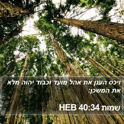 שמות 40:34 HEB Bible Verse Image