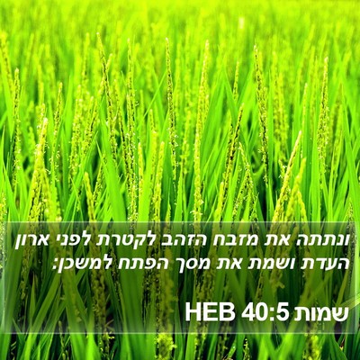 שמות 40:5 HEB Bible Verse Image