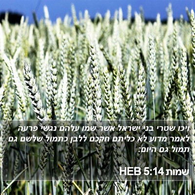 שמות 5:14 HEB Bible Verse Image
