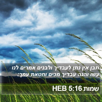 שמות 5:16 HEB Bible Verse Image