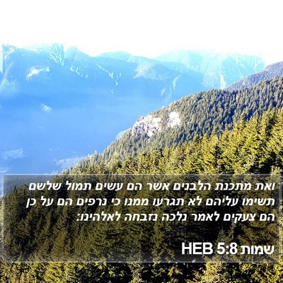 שמות 5:8 HEB Bible Verse Image