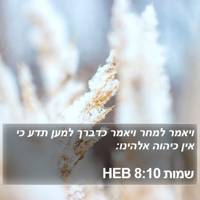 שמות 8:10 HEB Bible Verse Image