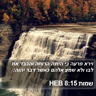 שמות 8:15 HEB Bible Verse Image