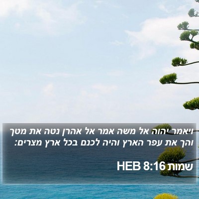 שמות 8:16 HEB Bible Verse Image