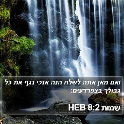שמות 8:2 HEB Bible Verse Image