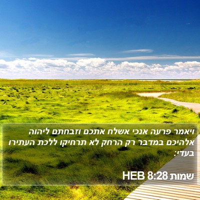 שמות 8:28 HEB Bible Verse Image