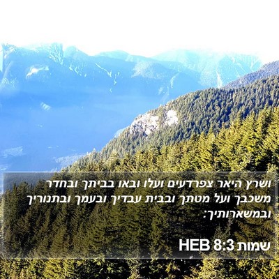 שמות 8:3 HEB Bible Verse Image