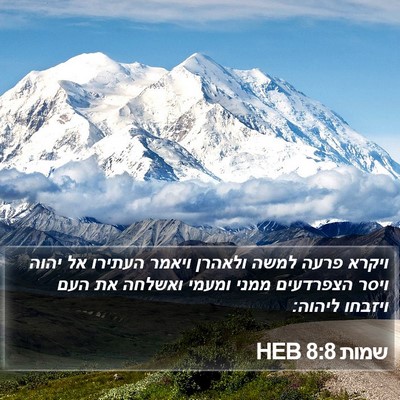 שמות 8:8 HEB Bible Verse Image