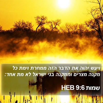 שמות 9:6 HEB Bible Verse Image