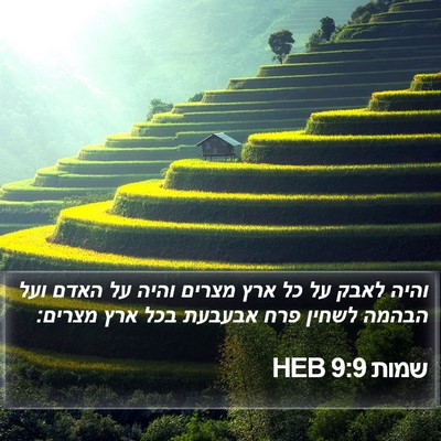 שמות 9:9 HEB Bible Verse Image