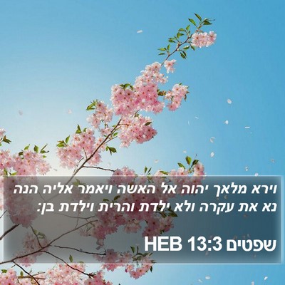 שפטים 13:3 HEB Bible Verse Image