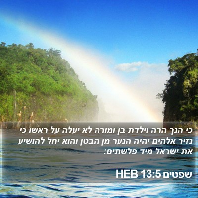 שפטים 13:5 HEB Bible Verse Image