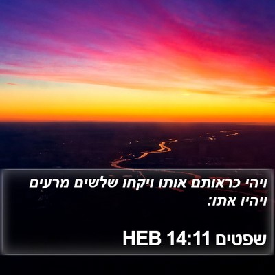 שפטים 14:11 HEB Bible Verse Image