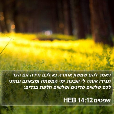 שפטים 14:12 HEB Bible Verse Image