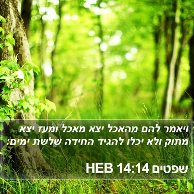 שפטים 14:14 HEB Bible Verse Image