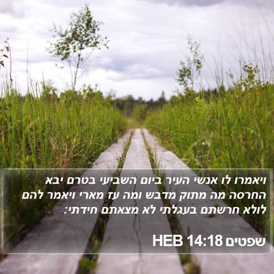 שפטים 14:18 HEB Bible Verse Image