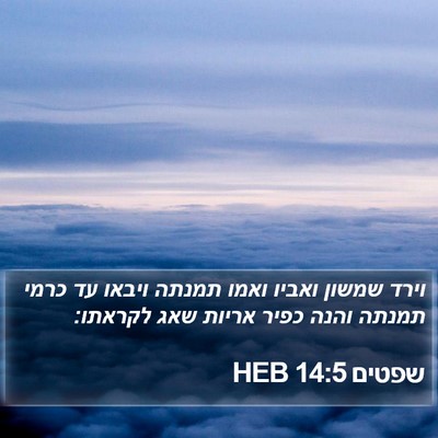 שפטים 14:5 HEB Bible Verse Image
