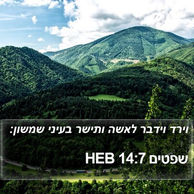 שפטים 14:7 HEB Bible Verse Image
