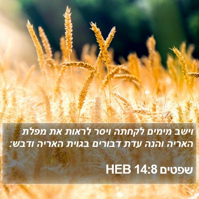 שפטים 14:8 HEB Bible Verse Image