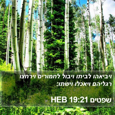 שפטים 19:21 HEB Bible Verse Image