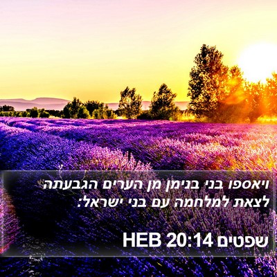 שפטים 20:14 HEB Bible Verse Image