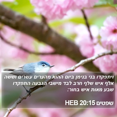 שפטים 20:15 HEB Bible Verse Image