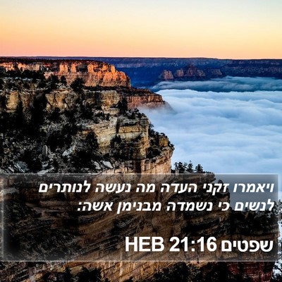 שפטים 21:16 HEB Bible Verse Image