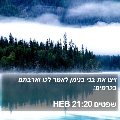 שפטים 21:20 HEB Bible Verse Image