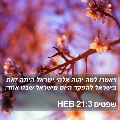 שפטים 21:3 HEB Bible Verse Image