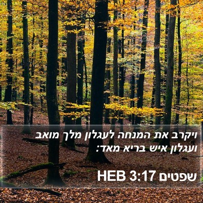 שפטים 3:17 HEB Bible Verse Image