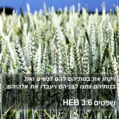 שפטים 3:6 HEB Bible Verse Image