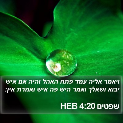 שפטים 4:20 HEB Bible Verse Image