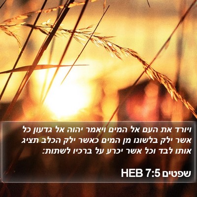 שפטים 7:5 HEB Bible Verse Image
