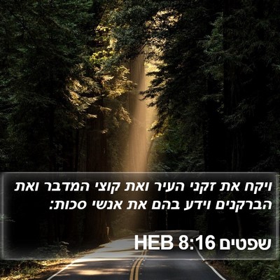 שפטים 8:16 HEB Bible Verse Image