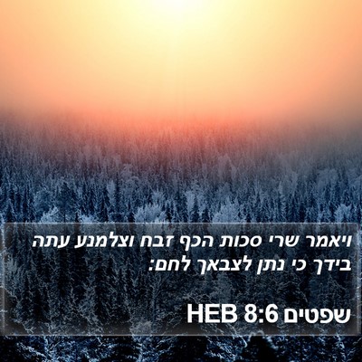 שפטים 8:6 HEB Bible Verse Image