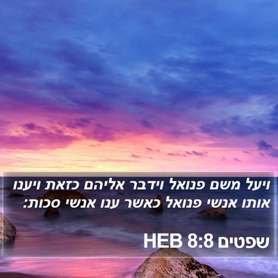 שפטים 8:8 HEB Bible Verse Image
