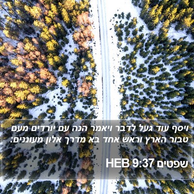 שפטים 9:37 HEB Bible Verse Image