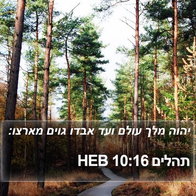 תהלים 10:16 HEB Bible Verse Image