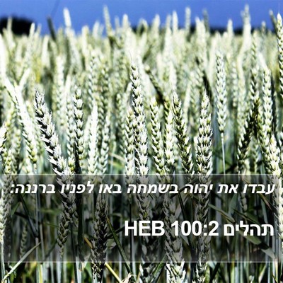 תהלים 100:2 HEB Bible Verse Image