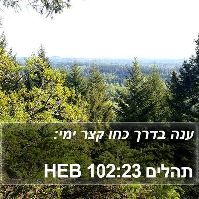 תהלים 102:23 HEB Bible Verse Image