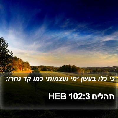 תהלים 102:3 HEB Bible Verse Image