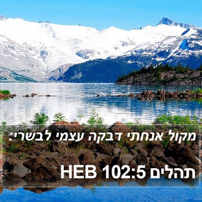 תהלים 102:5 HEB Bible Verse Image