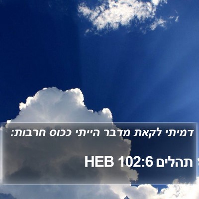 תהלים 102:6 HEB Bible Verse Image